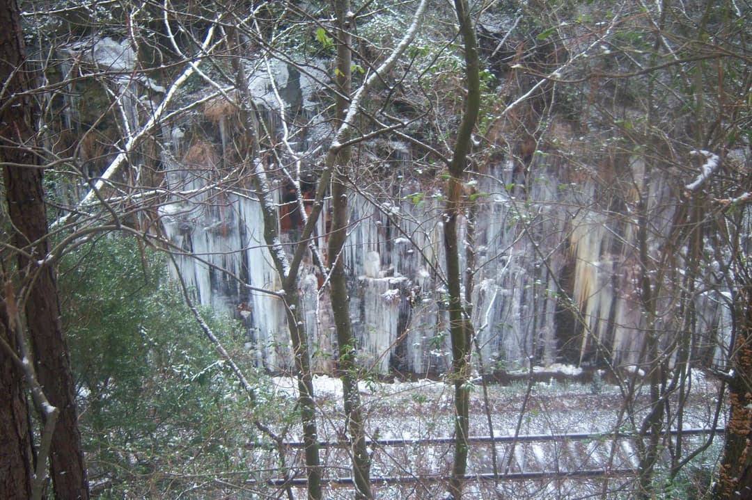 Alabama Cold Wave of 2010 Statistics