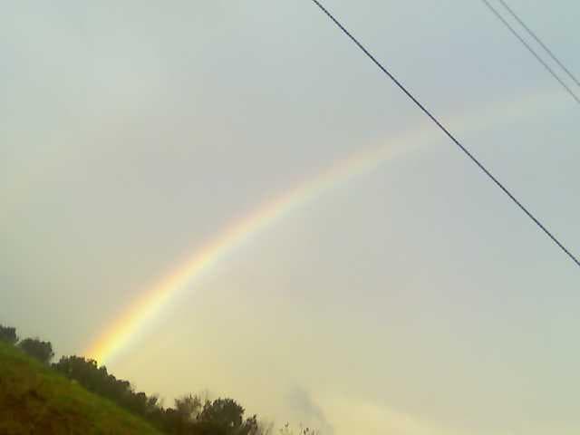 Cullman Rainbow