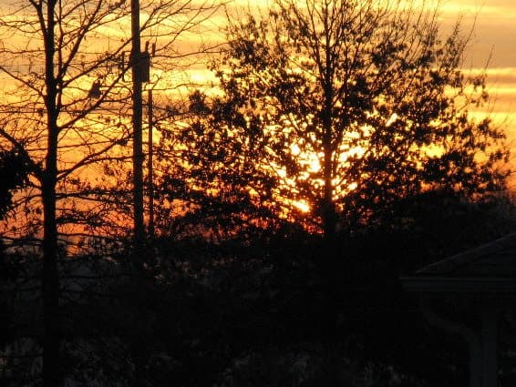 February Sunrise