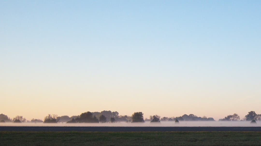 Fog