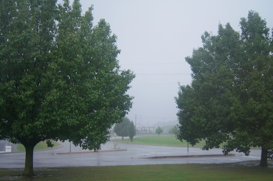 Heavy Rain