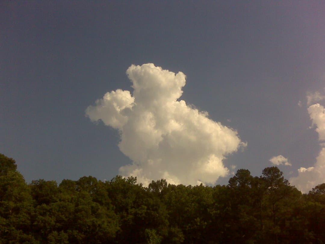 Hot 1st Day of Meteorological Summer