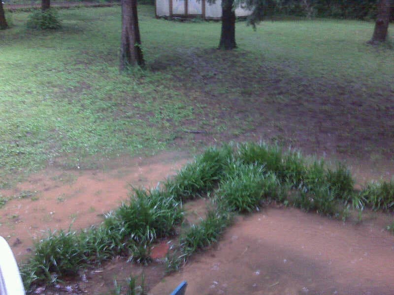 IMG00698.jpg