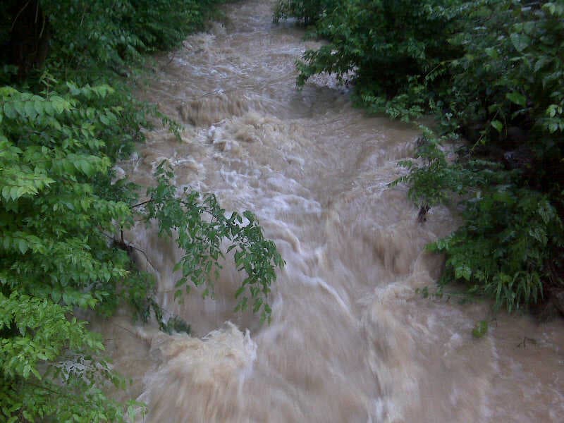 IMG00702.jpg