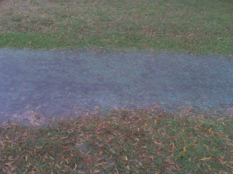 Lots of Standing Water...