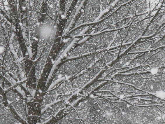 More Madison County Snow Pictures