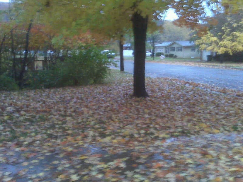 Rainy Fall Day